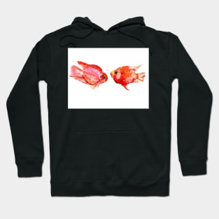 Parrot Cichlids fish home decor Hoodie